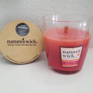 Nature's wick 10 oz candle